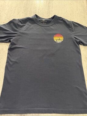Southern Tide Gray Short-Sleeve Tee with Sunrise Chest Graphic